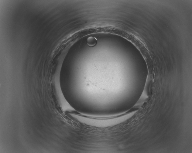 X0000083550920200702240107