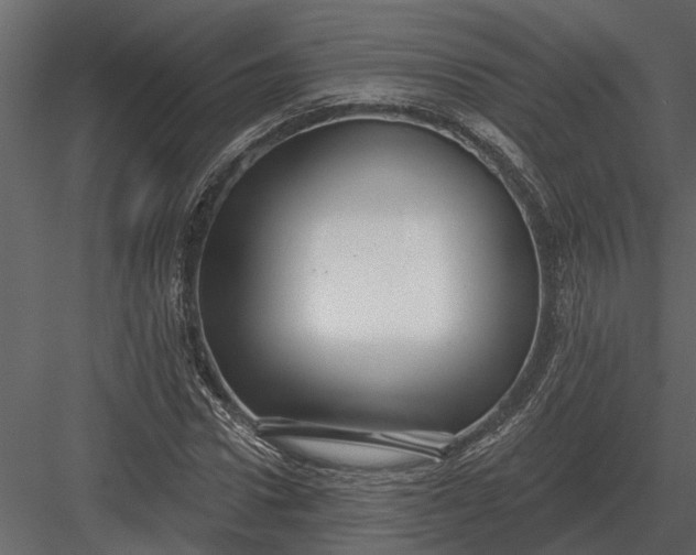 X0000083550922200702240107