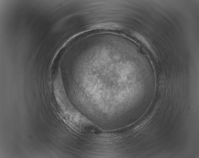 X0000083550923200702240107