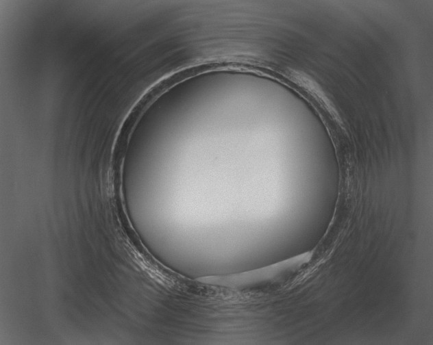 X0000083550924200702240107