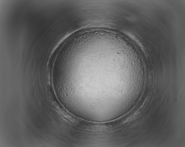 X0000083550925200702240107