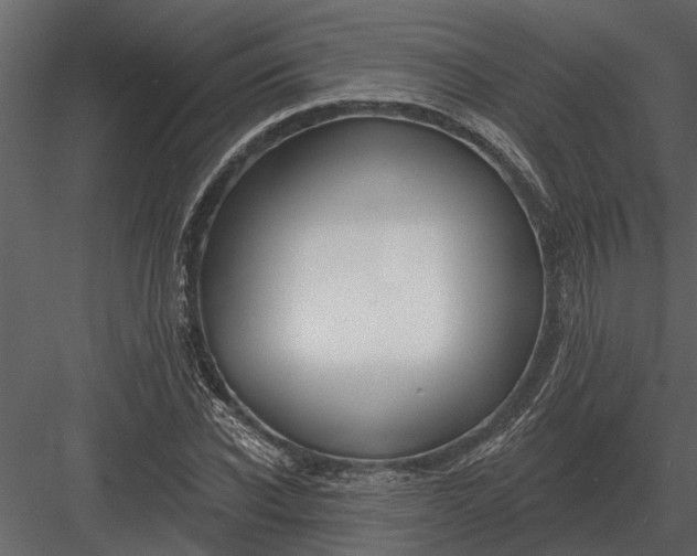 X0000083550926200702240107