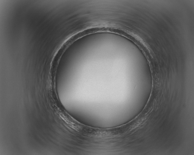 X0000083550927200702240107
