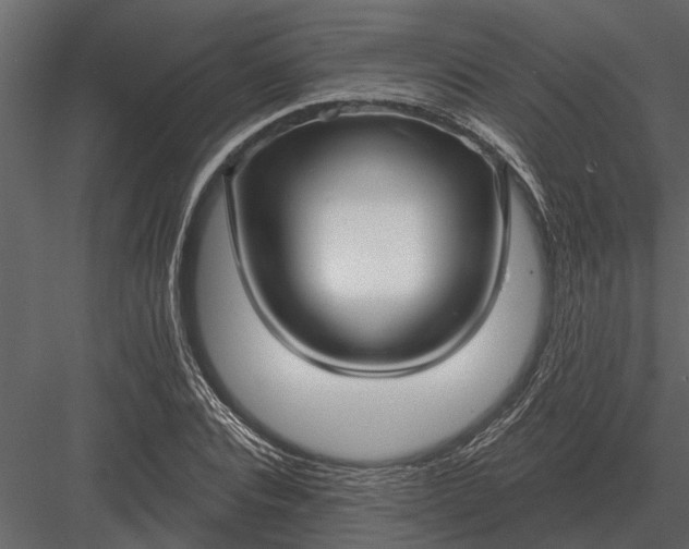 X0000083550928200702240107