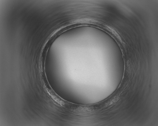 X0000083550931200702240107