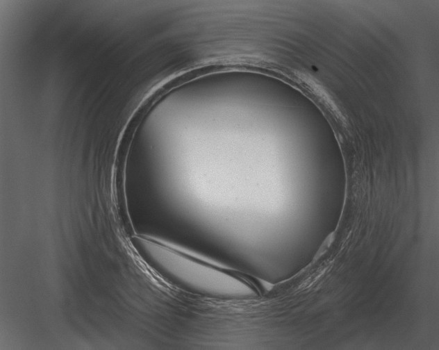 X0000083550932200702240107