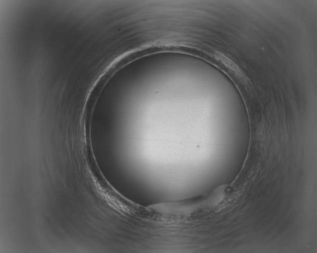X0000083550934200702240107