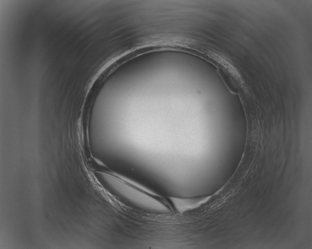 X0000083550936200702240107