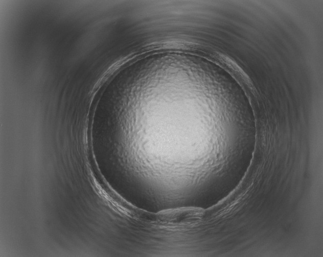 X0000083550938200702240107