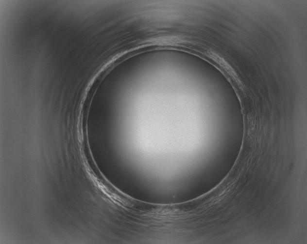 X0000083550939200702240107