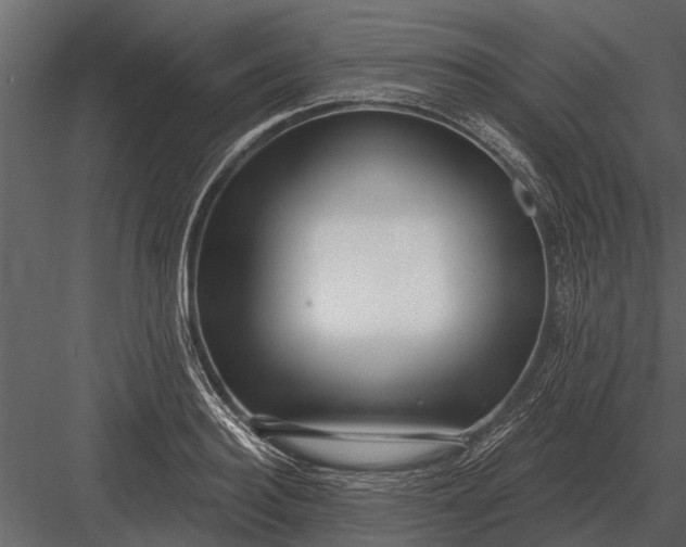 X0000083550940200702240107