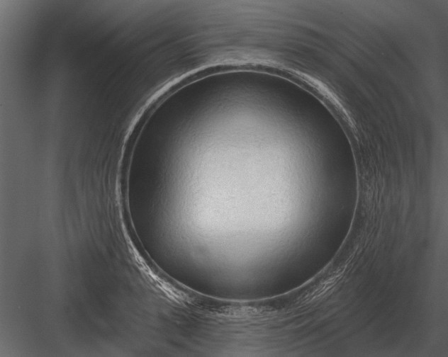 X0000083550943200702240107