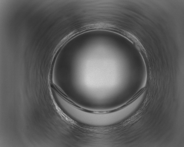 X0000083550946200702240107