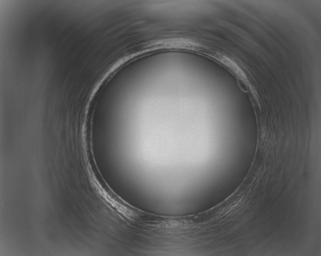 X0000083550947200702240107