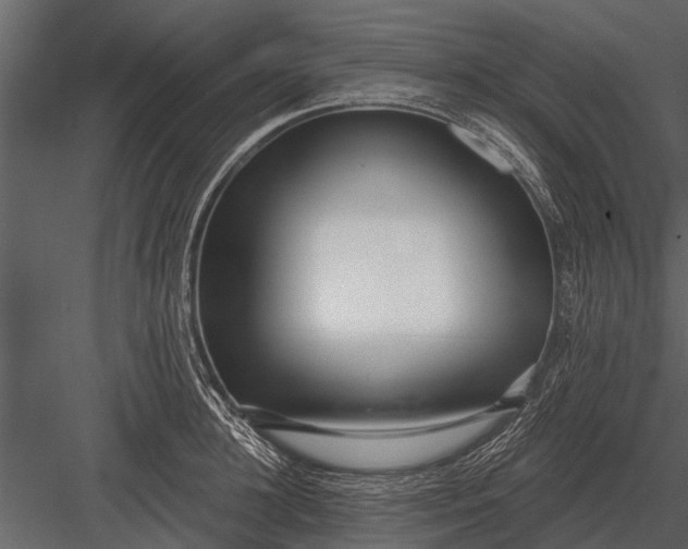X0000083550948200702240107