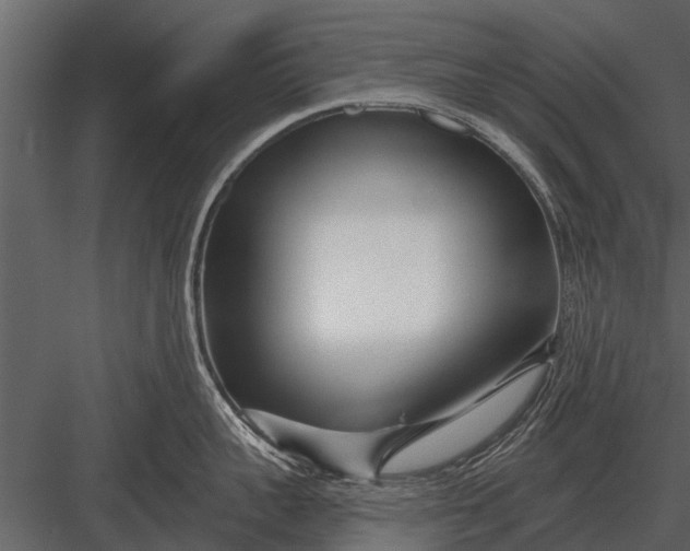 X0000083550959200702240108