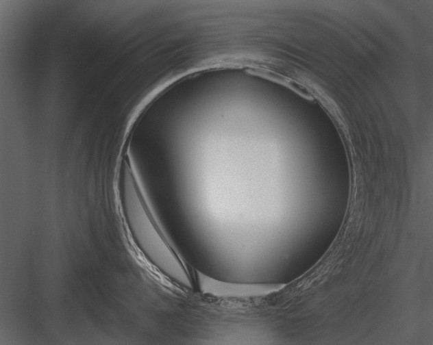 X0000083550960200702240108