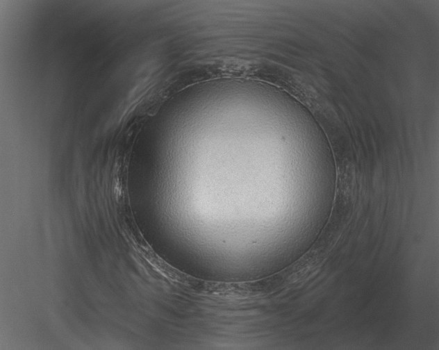 X0000083550962200702240107