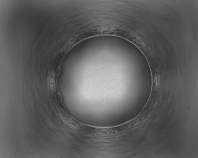 X0000083550963200702240107