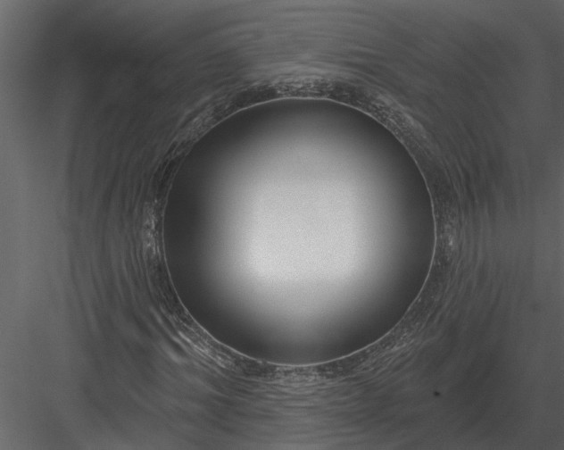 X0000083550964200702240107