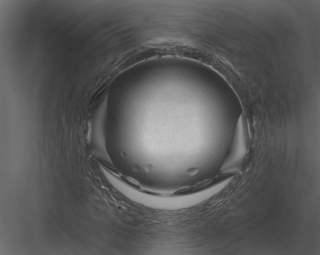X0000083550965200702240107