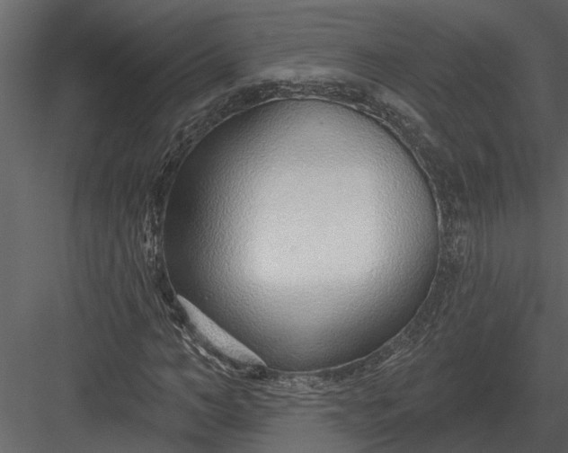 X0000083550966200702240107