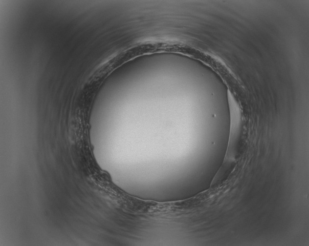 X0000083550967200702240107