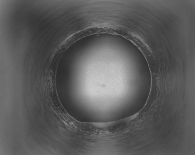 X0000083550968200702240107
