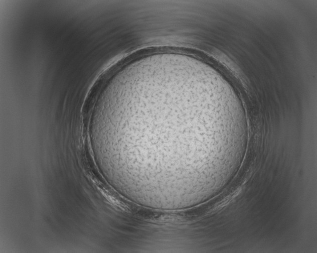 X0000083550974200702240107