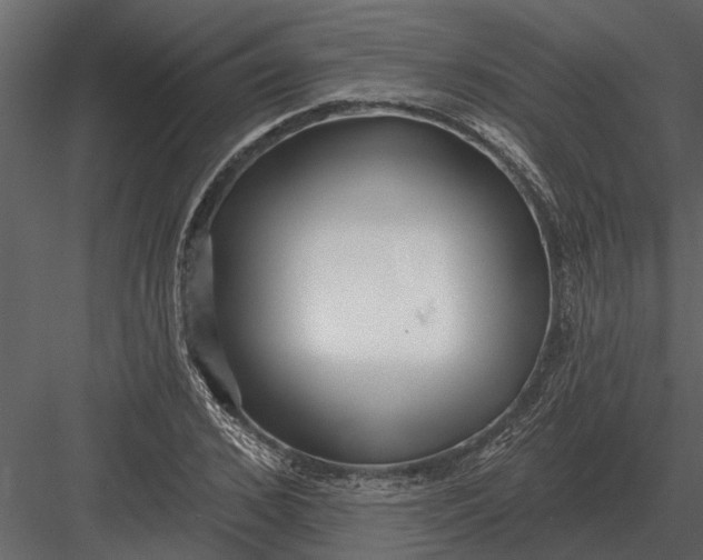 X0000083550976200702240107