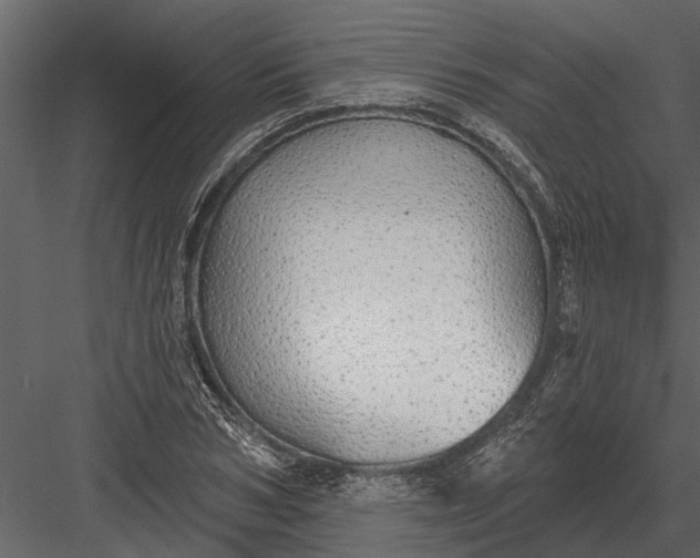 X0000083550978200702240107