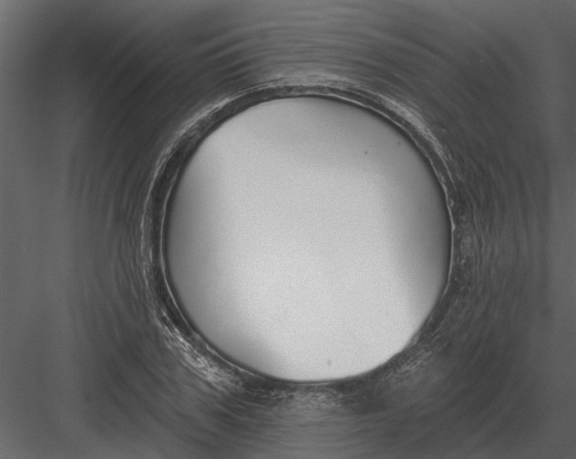 X0000083550979200702240107