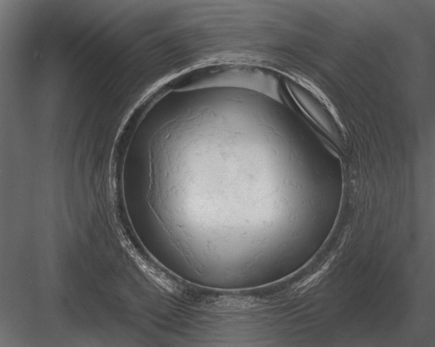X0000083550981200702240106