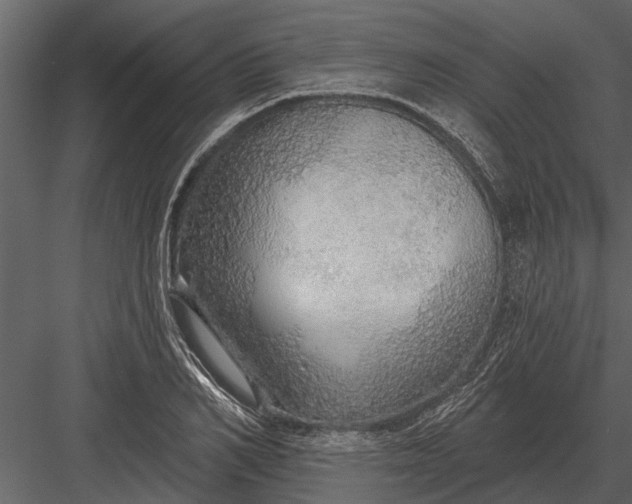 X0000083550982200702240106