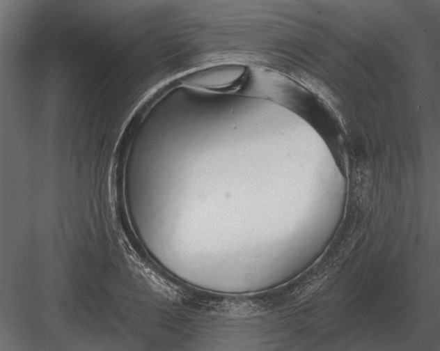 X0000083550983200702240106