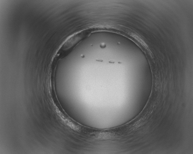 X0000083550984200702240106