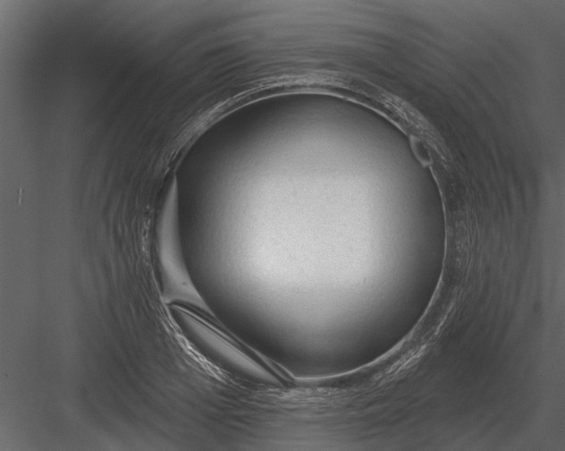 X0000083550985200702240106