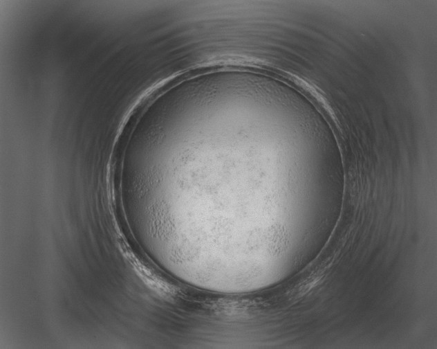 X0000083550987200702240106