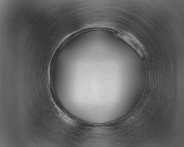 X0000083550988200702240106