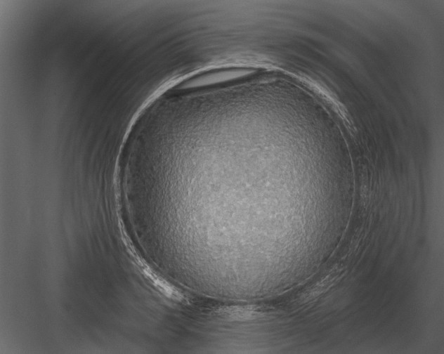 X0000083550990200702240106