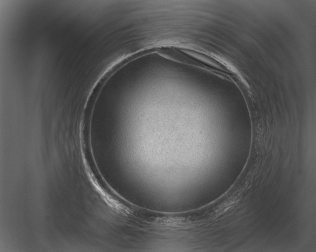 X0000083550991200702240106