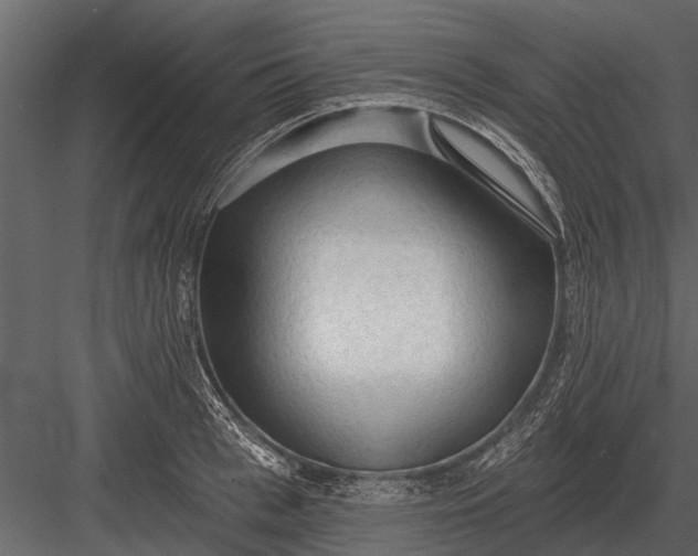 X0000083550993200702240106