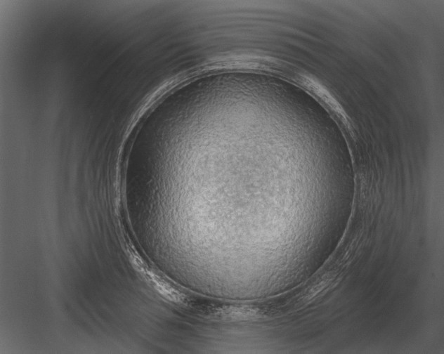 X0000083550994200702240106