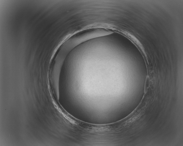 X0000083550997200702240106