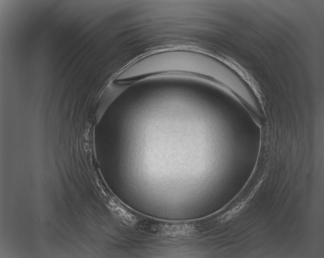 X0000083551001200702240106