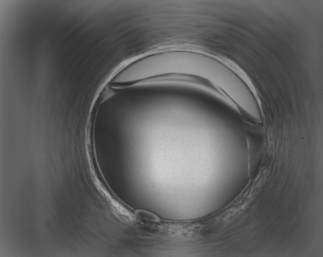 X0000083551005200702240106