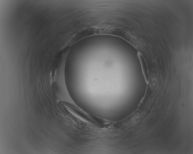 X0000083551010200702240105