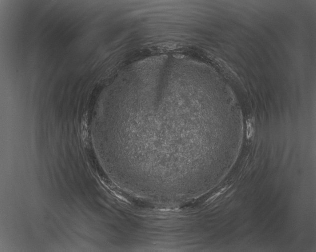 X0000083551011200702240105