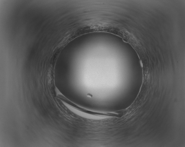 X0000083551012200702240105
