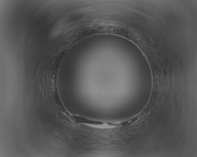 X0000083551013200702240105